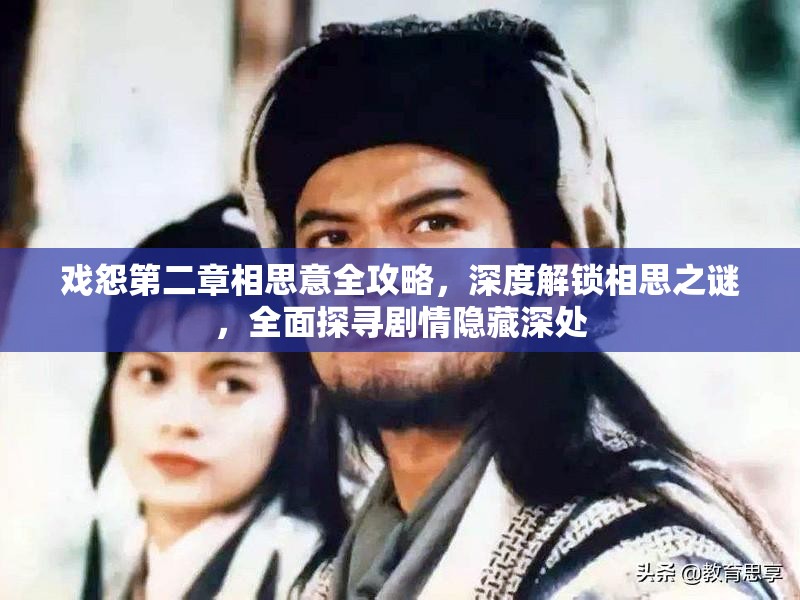 戏怨第二章相思意全攻略，深度解锁相思之谜，全面探寻剧情隐藏深处
