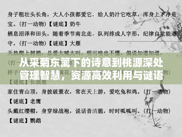 从采菊东篱下的诗意到桃源深处管理智慧，资源高效利用与谜语答案的深层价值