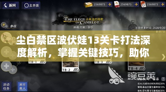 尘白禁区波伏娃13关卡打法深度解析，掌握关键技巧，助你轻松应对制敌策略