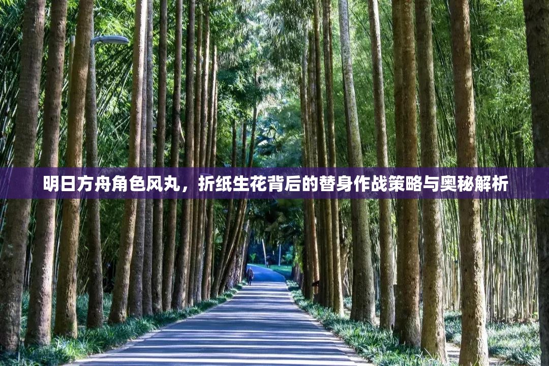明日方舟角色风丸，折纸生花背后的替身作战策略与奥秘解析