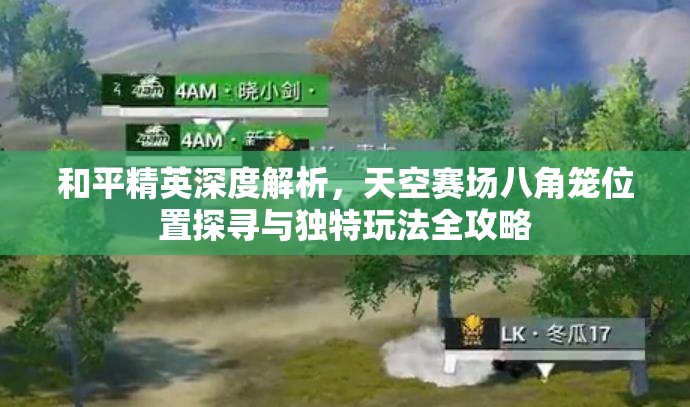 和平精英深度解析，天空赛场八角笼位置探寻与独特玩法全攻略