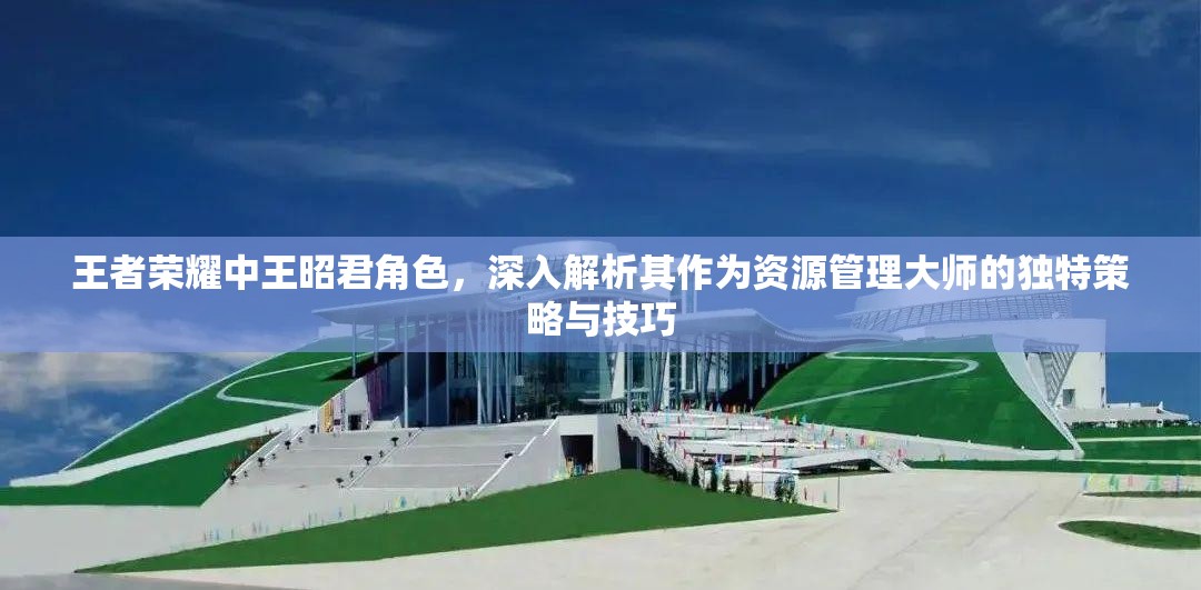 王者荣耀中王昭君角色，深入解析其作为资源管理大师的独特策略与技巧