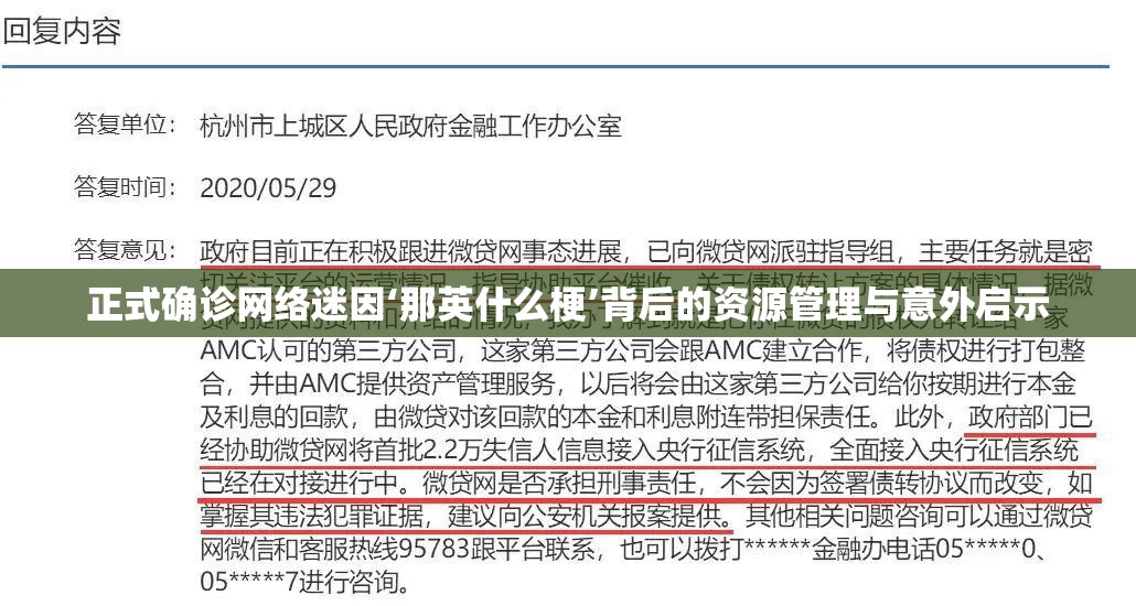 正式确诊网络迷因‘那英什么梗’背后的资源管理与意外启示