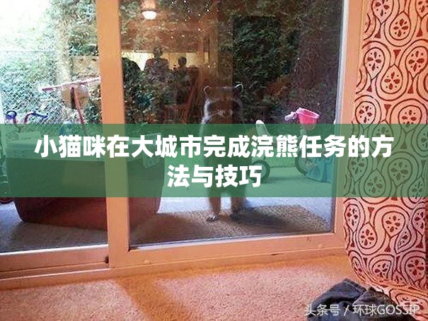 小猫咪在大城市完成浣熊任务的方法与技巧
