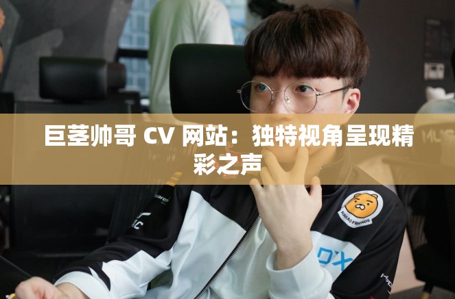 巨茎帅哥 CV 网站：独特视角呈现精彩之声