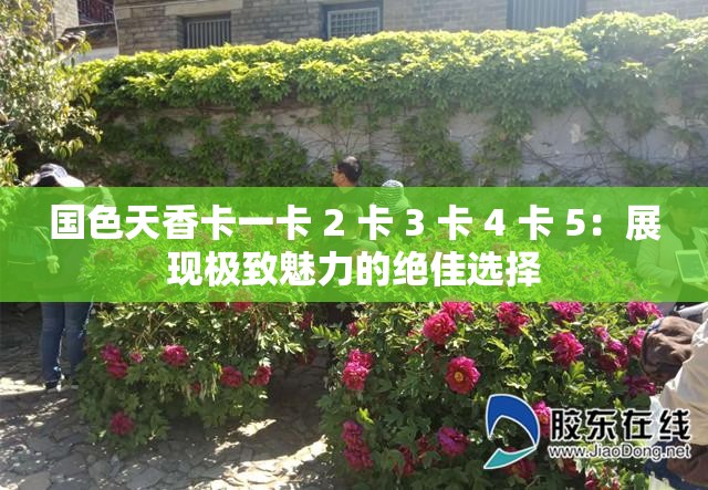 国色天香卡一卡 2 卡 3 卡 4 卡 5：展现极致魅力的绝佳选择