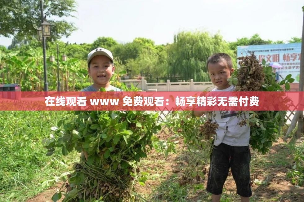 在线观看 www 免费观看：畅享精彩无需付费