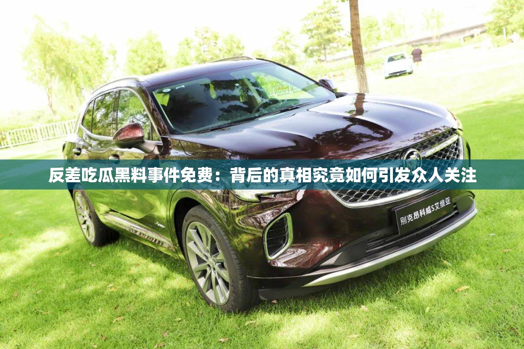 反差吃瓜黑料事件免费：背后的真相究竟如何引发众人关注