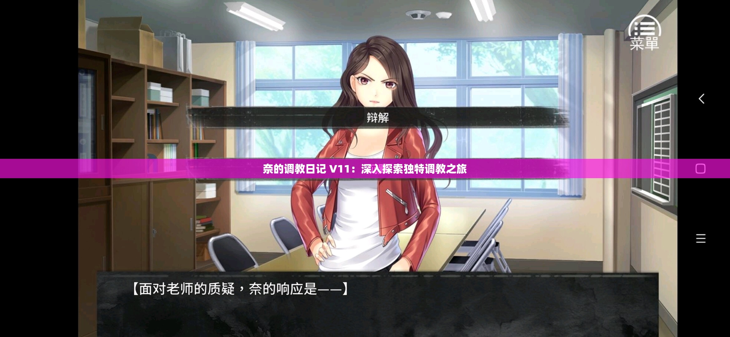 奈的调教日记 V11：深入探索独特调教之旅