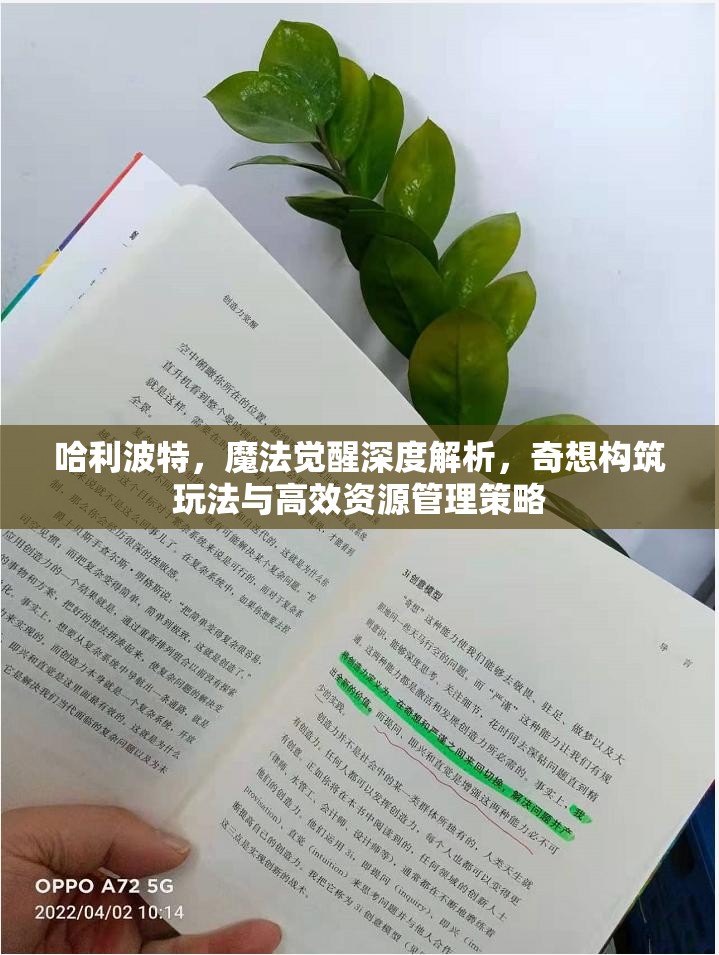 哈利波特，魔法觉醒深度解析，奇想构筑玩法与高效资源管理策略
