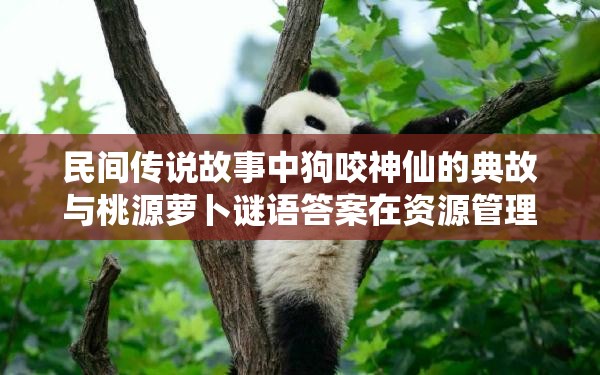 民间传说故事中狗咬神仙的典故与桃源萝卜谜语答案在资源管理高效策略中的启示