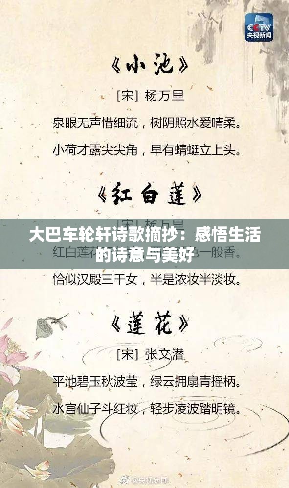 大巴车轮轩诗歌摘抄：感悟生活的诗意与美好