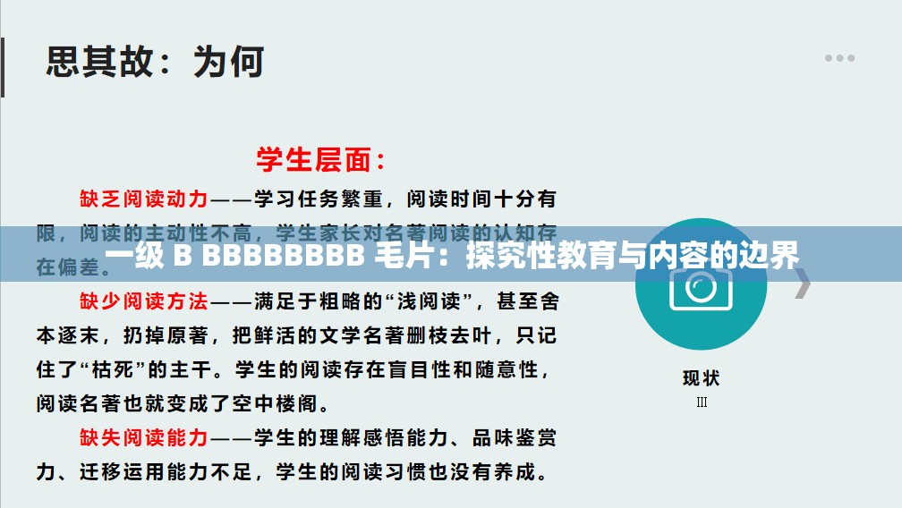 一级 B BBBBBBBB 毛片：探究性教育与内容的边界