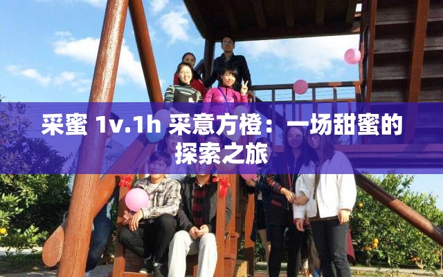 采蜜 1v.1h 采意方橙：一场甜蜜的探索之旅
