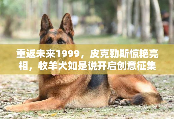 重返未来1999，皮克勒斯惊艳亮相，牧羊犬如是说开启创意征集盛宴