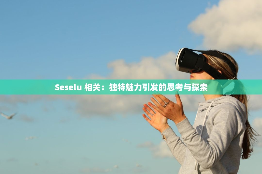 Seselu 相关：独特魅力引发的思考与探索