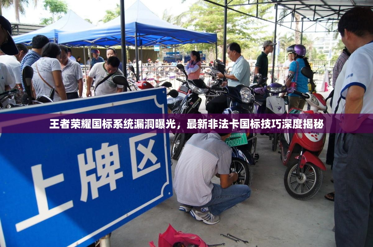 王者荣耀国标系统漏洞曝光，最新非法卡国标技巧深度揭秘