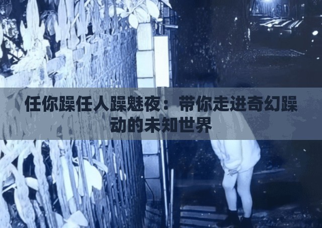 任你躁任人躁魅夜：带你走进奇幻躁动的未知世界