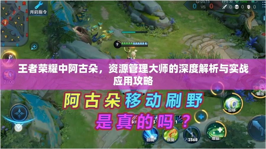 王者荣耀中阿古朵，资源管理大师的深度解析与实战应用攻略