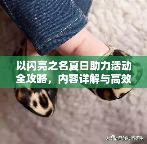 以闪亮之名夏日助力活动全攻略，内容详解与高效资源管理策略指南