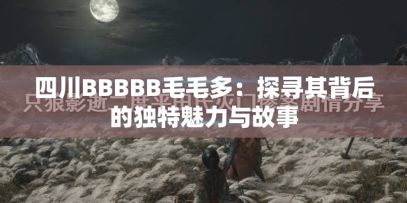 四川BBBBB毛毛多：探寻其背后的独特魅力与故事