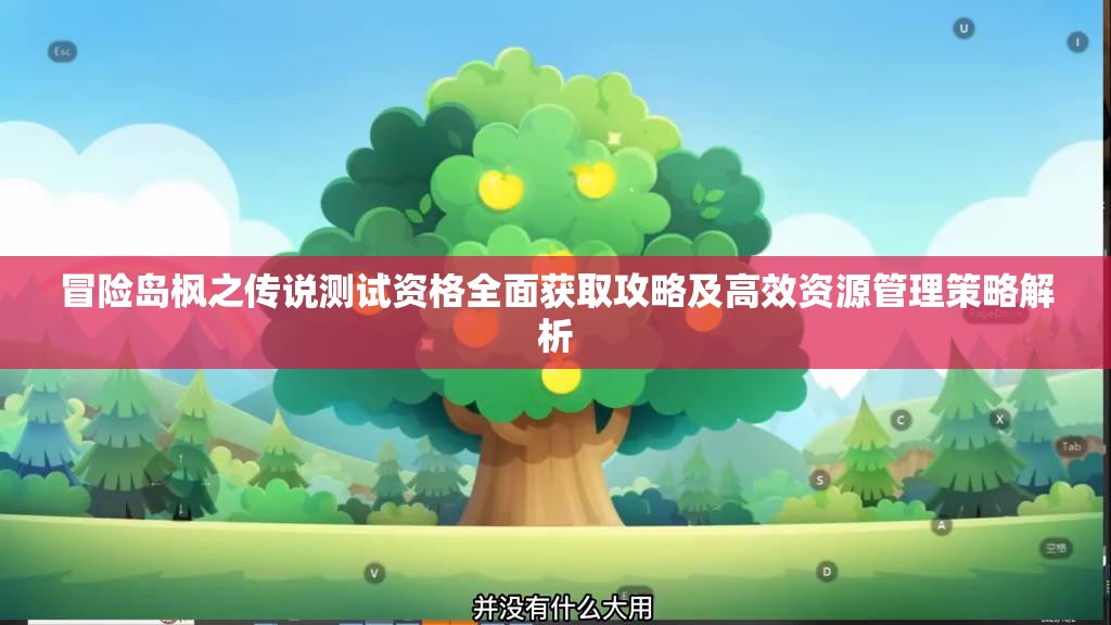 冒险岛枫之传说测试资格全面获取攻略及高效资源管理策略解析