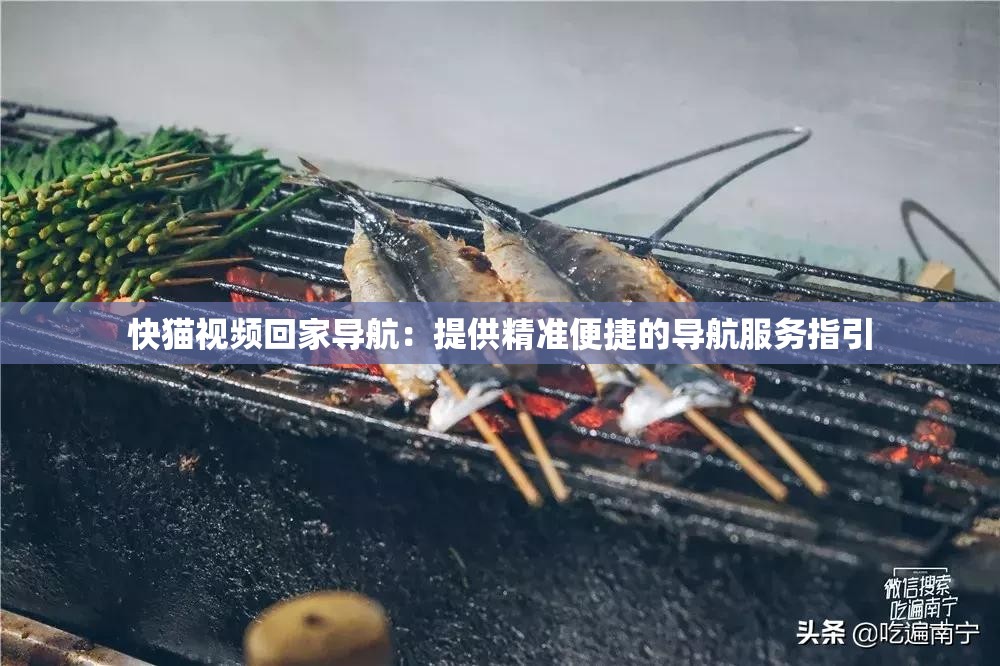 快猫视频回家导航：提供精准便捷的导航服务指引