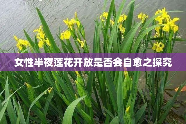 女性半夜莲花开放是否会自愈之探究