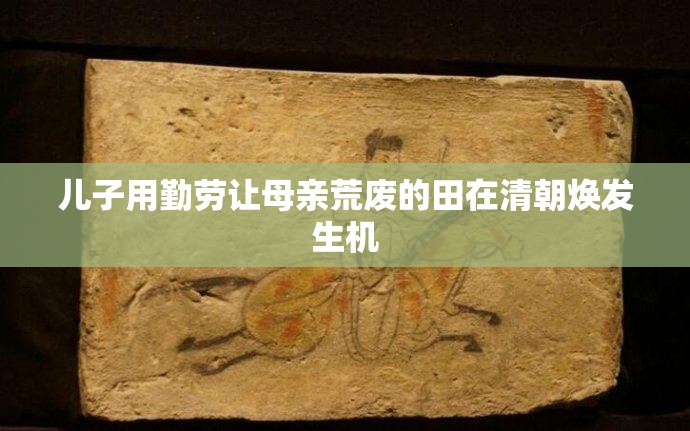 儿子用勤劳让母亲荒废的田在清朝焕发生机