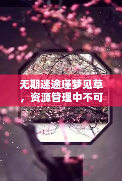 无期迷途瑾梦见草，资源管理中不可或缺的璀璨策略明珠