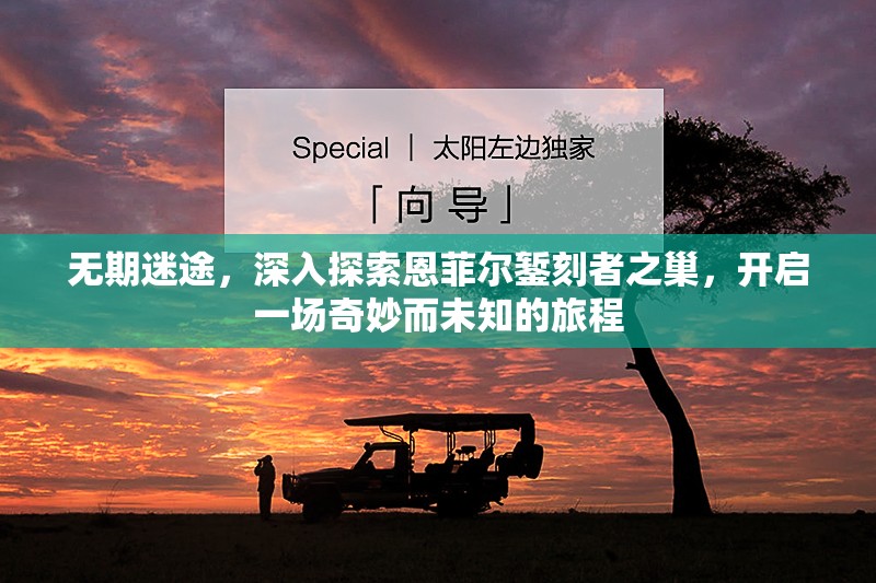 无期迷途，深入探索恩菲尔錾刻者之巢，开启一场奇妙而未知的旅程