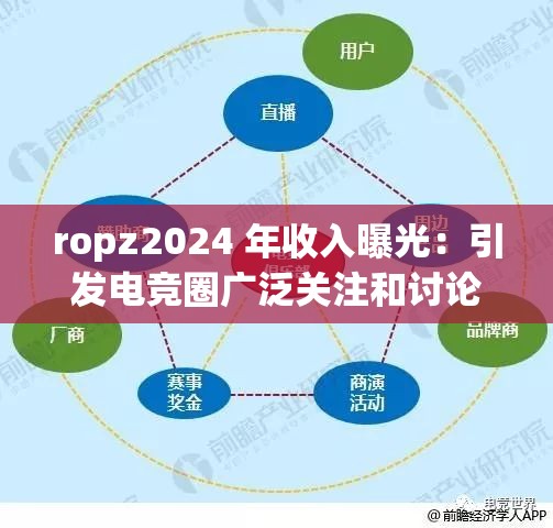 ropz2024 年收入曝光：引发电竞圈广泛关注和讨论
