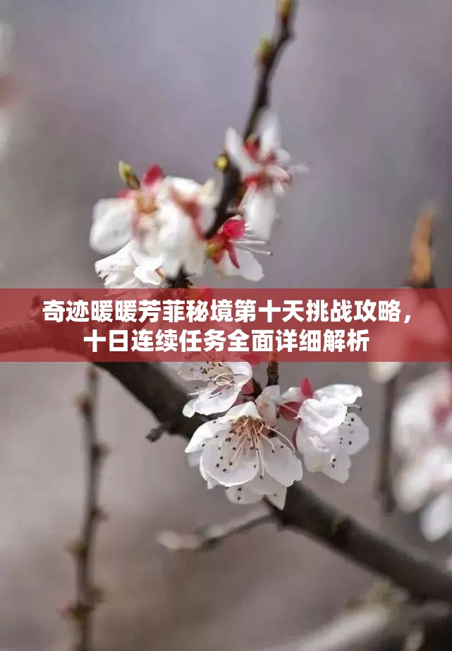 奇迹暖暖芳菲秘境第十天挑战攻略，十日连续任务全面详细解析