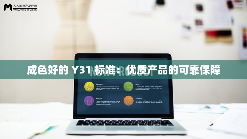 成色好的 Y31 标准：优质产品的可靠保障