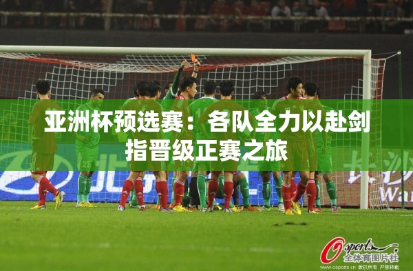 亚洲杯预选赛：各队全力以赴剑指晋级正赛之旅