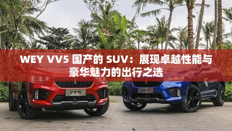 WEY VV5 国产的 SUV：展现卓越性能与豪华魅力的出行之选