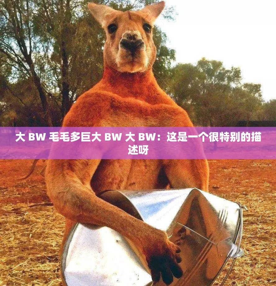 大 BW 毛毛多巨大 BW 大 BW：这是一个很特别的描述呀