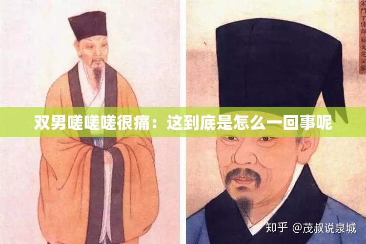 双男嗟嗟嗟很痛：这到底是怎么一回事呢