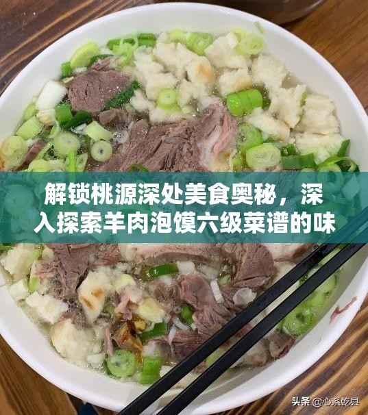 解锁桃源深处美食奥秘，深入探索羊肉泡馍六级菜谱的味蕾秘密