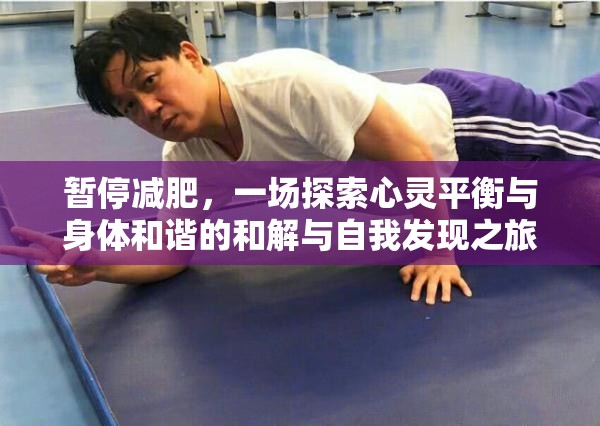 暂停减肥，一场探索心灵平衡与身体和谐的和解与自我发现之旅