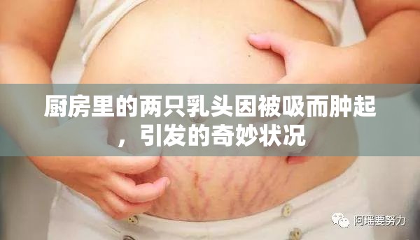 厨房里的两只乳头因被吸而肿起，引发的奇妙状况