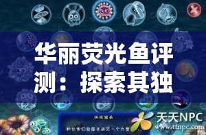 华丽荧光鱼评测：探索其独特魅力与养殖要点