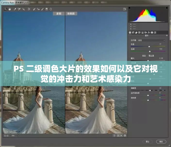 PS 二级调色大片的效果如何以及它对视觉的冲击力和艺术感染力