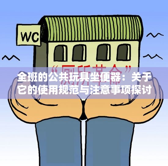 全班的公共玩具坐便器：关于它的使用规范与注意事项探讨