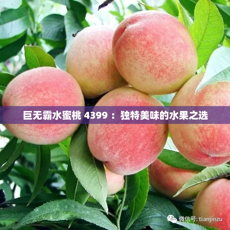 巨无霸水蜜桃 4399 ：独特美味的水果之选
