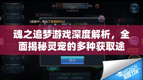 魂之追梦游戏深度解析，全面揭秘灵宠的多种获取途径与策略