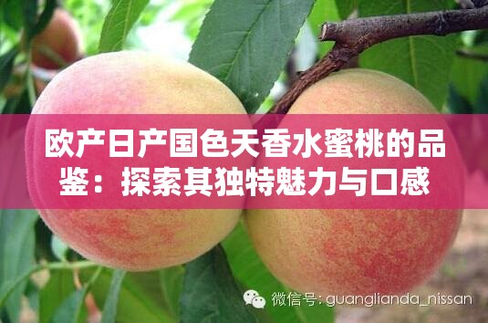 欧产日产国色天香水蜜桃的品鉴：探索其独特魅力与口感差异