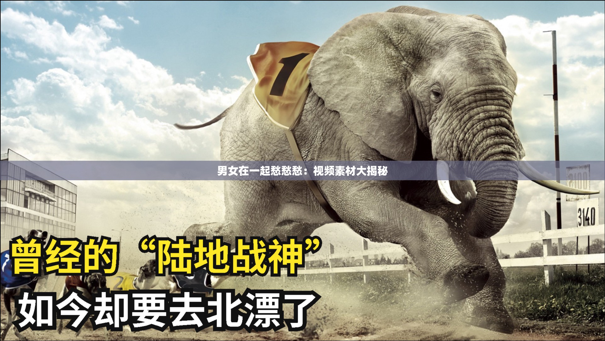 男女在一起愁愁愁：视频素材大揭秘
