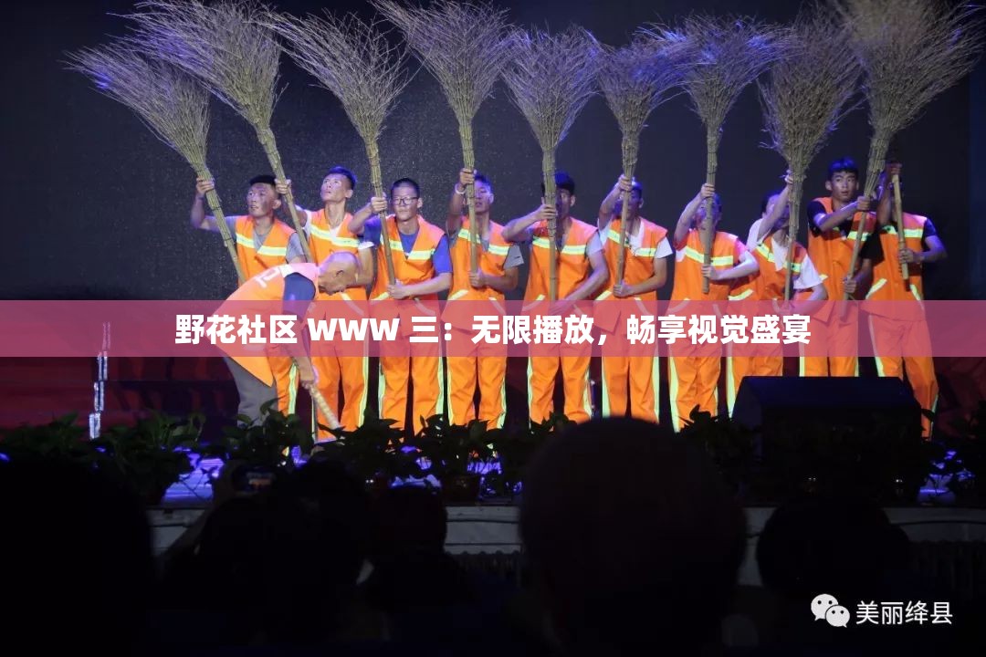 野花社区 WWW 三：无限播放，畅享视觉盛宴