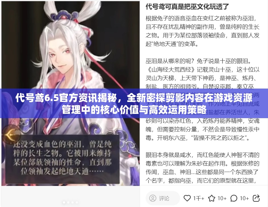 代号鸢6.5官方资讯揭秘，全新密探剪影内容在游戏资源管理中的核心价值与高效运用策略